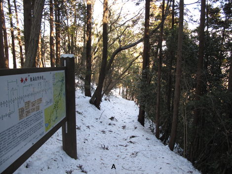20180126hike (259)